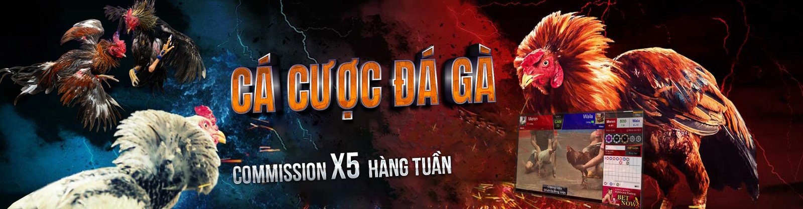 Trang chủ 21 da ga thomo sv388